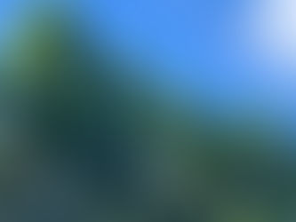 《ティエン神父より》年間第17主日