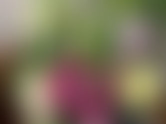 《ティエン神父より》年間第25主日