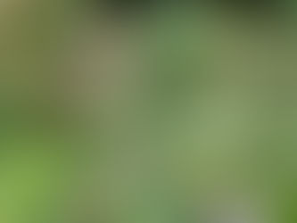《年間第28主日 ティエン神父》
