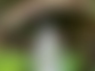 復活節第５主日《ティエン神父》
