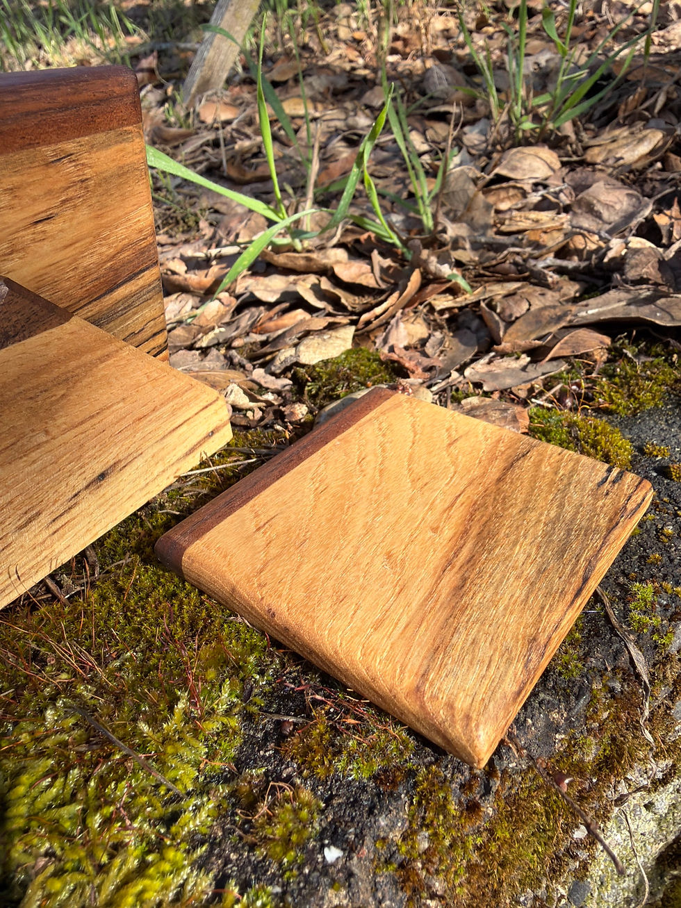 Thumbnail: White walnut coaster with black walnut stand (single piece) 
