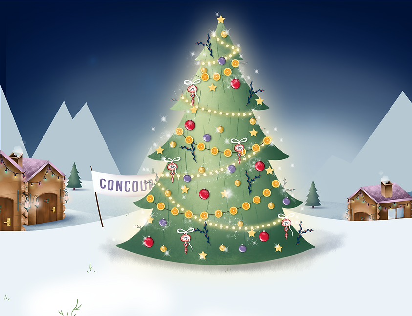 photo-sapin.png
