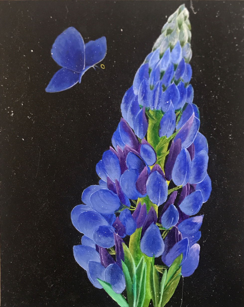 Lupin Flower