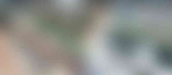 Render-estacion-voto-nacional 2