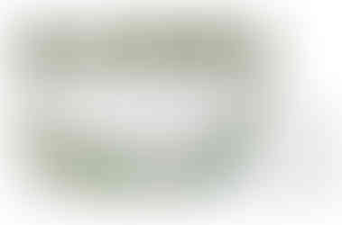 OPCION MEDIA 25-06-2018