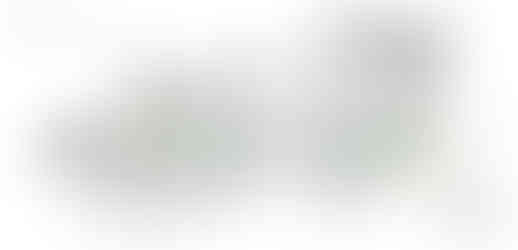 base para memoria FAUNA Y FLORA-01