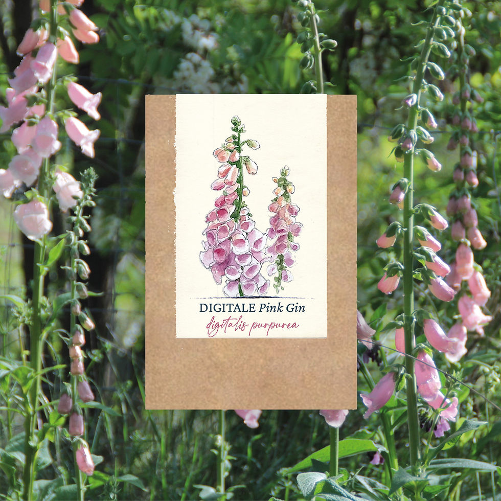 Digitale "Pink Gin"