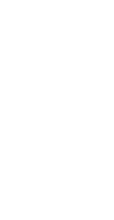 BLANC Rose tré.png