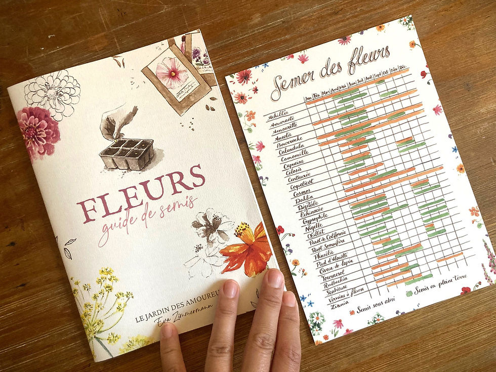 Miniature : Guide de Semis