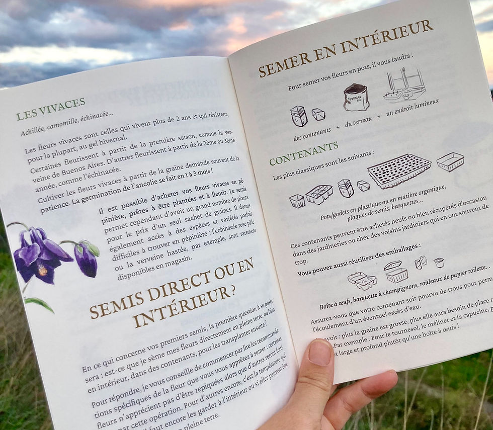 Miniature : Guide de Semis