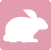 acess_ic_iinf.png