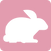 acess_ic_iinf.png