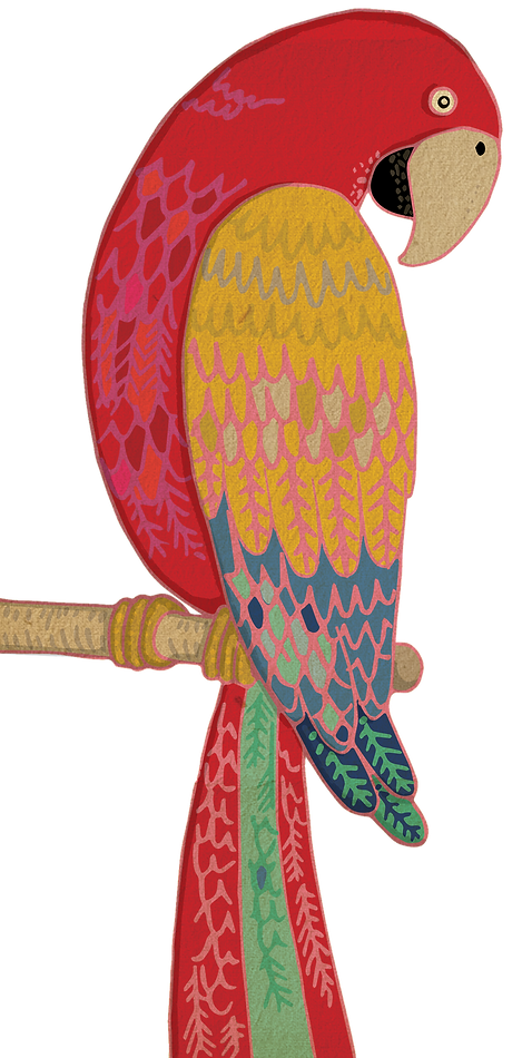fungaguinhos3.png