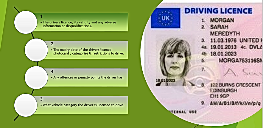 dvla licence check
