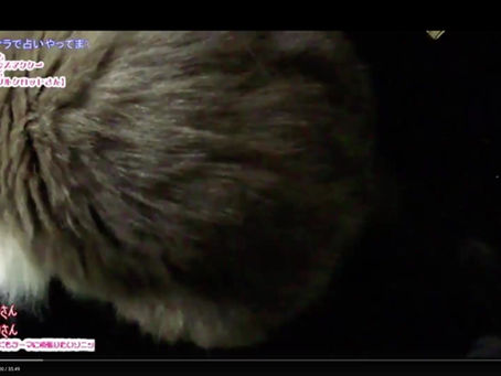 伝説の削除動画