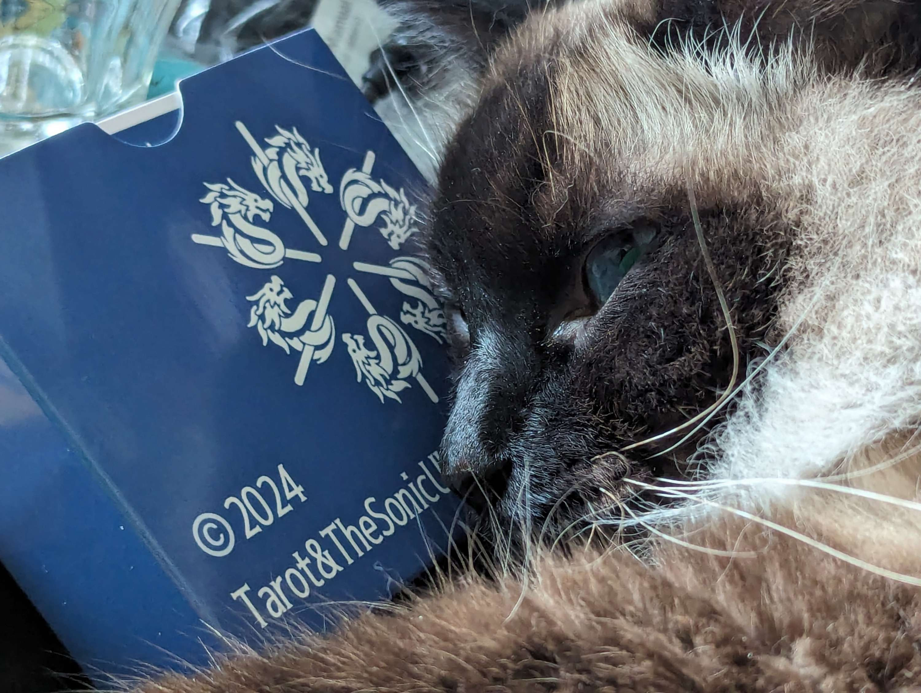 IconForecastカード