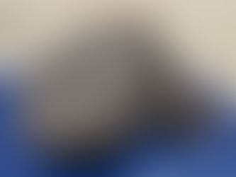 muse2 と5分間瞑想