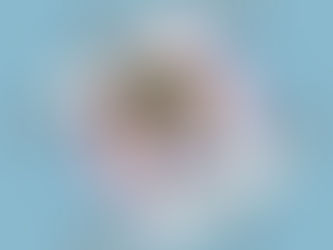 タロットアスペクト【奥義の札】限定版『風雲港区家族』