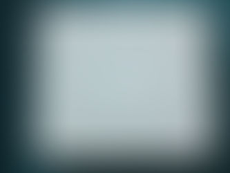 易384完売いたしました。