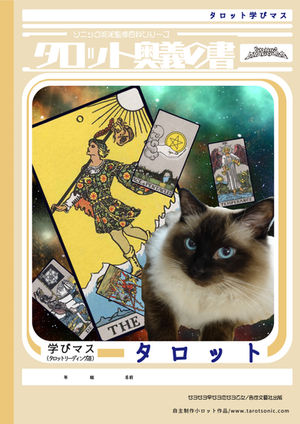 タロットソニックさんの「奥義の書」とタロットカード