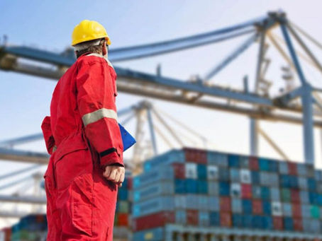 O DESPACHO ADUANEIRO DE IMPORTAÇÃO NO BRASIL E SUA MODERNIZAÇÃO COM A DUIMP