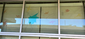 IMG_7604_edited.jpg
