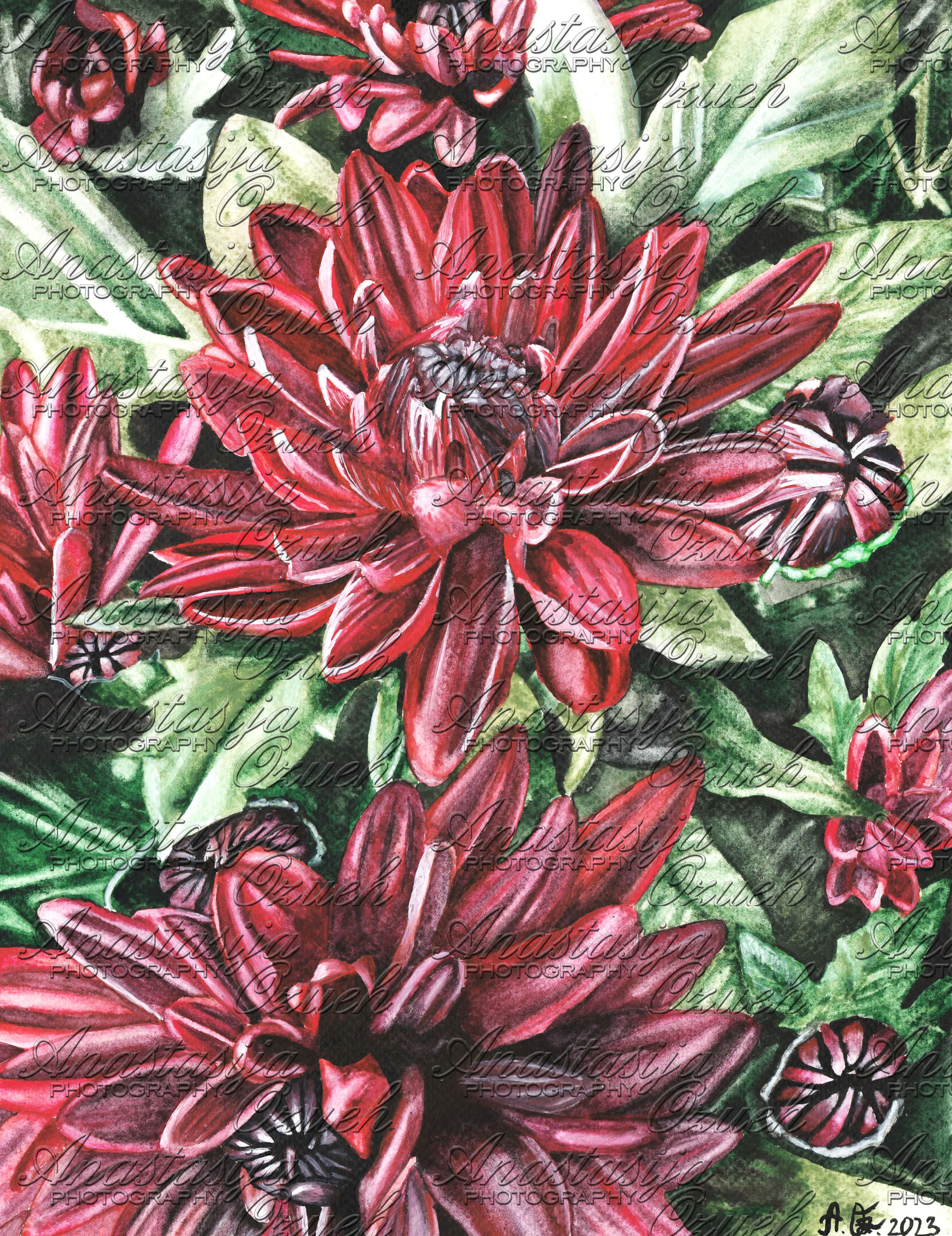 ''Chrysanthemum Small'' - Downloadable Digital Copy of my Original Art 2PC