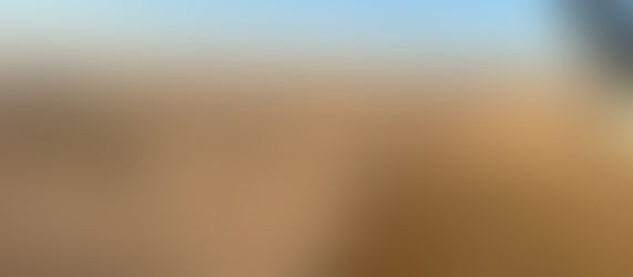 Somewhere out there
