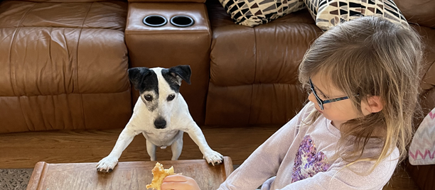 Maybe it’s time to REFOCUS