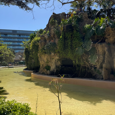 A pond in Parque Genoves