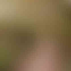 Pathway at Blarney Castle with flowers overhead