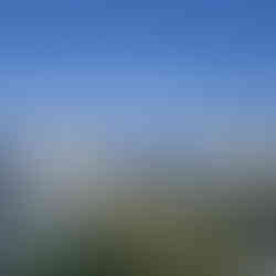 A rooftop view of water and windmills