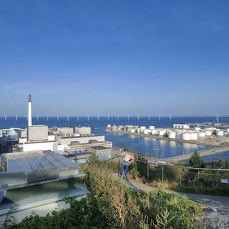 A rooftop view of water and windmills