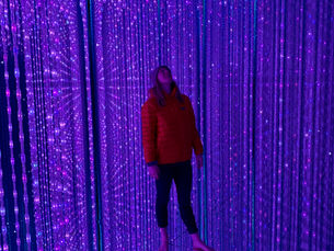 Visiting teamLab Borderless: What to Know Before You Go