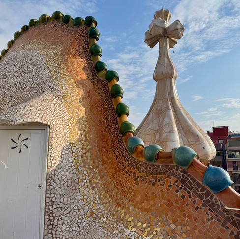 A tiled rooftop with a door