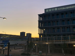 A Complete Guide to Exploring Toyosu Fish Market in Tokyo