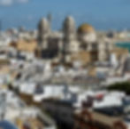 Cadiz Cathedral from above