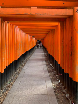 Red Torii Gates, Kyoto, Japan