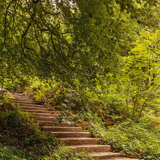 Stairs through woods at Blarney Castle