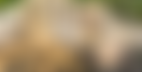 White Whale Hot Springs