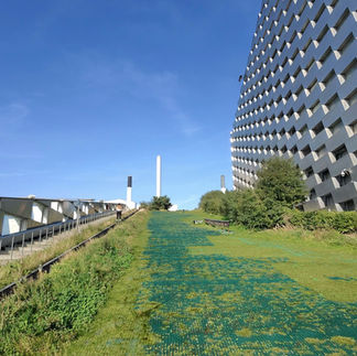 A green artificial ski hill with a modern building