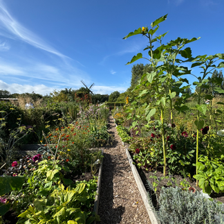 A lush garden with flowers and planter beds
