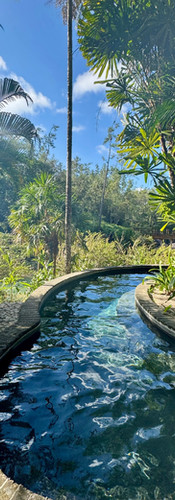 U Shaped Pool at Blancaneaux Lodge