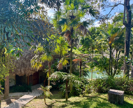 Beautiful grounds at Blancaneaux Lodge