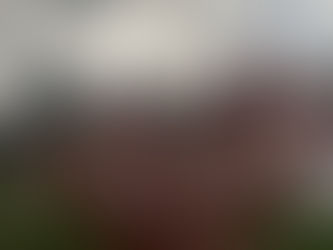 LENT REFLECTION - DAY 12