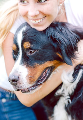 Dog Transport | Cat Transport | Victoria | East Coast Dog Transport | Cat Transport | Victoria | East Coast