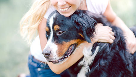 Poision Conrol - Veterinarian Acton Concord Maynard Sudbury Stow MA