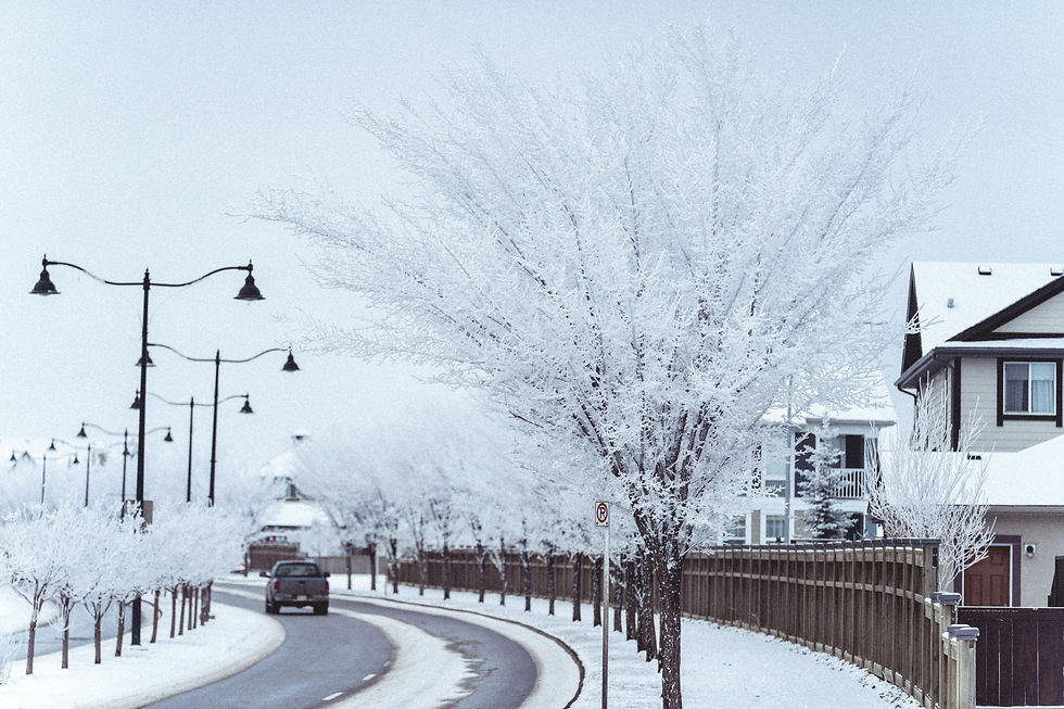 Winter snow.jpg