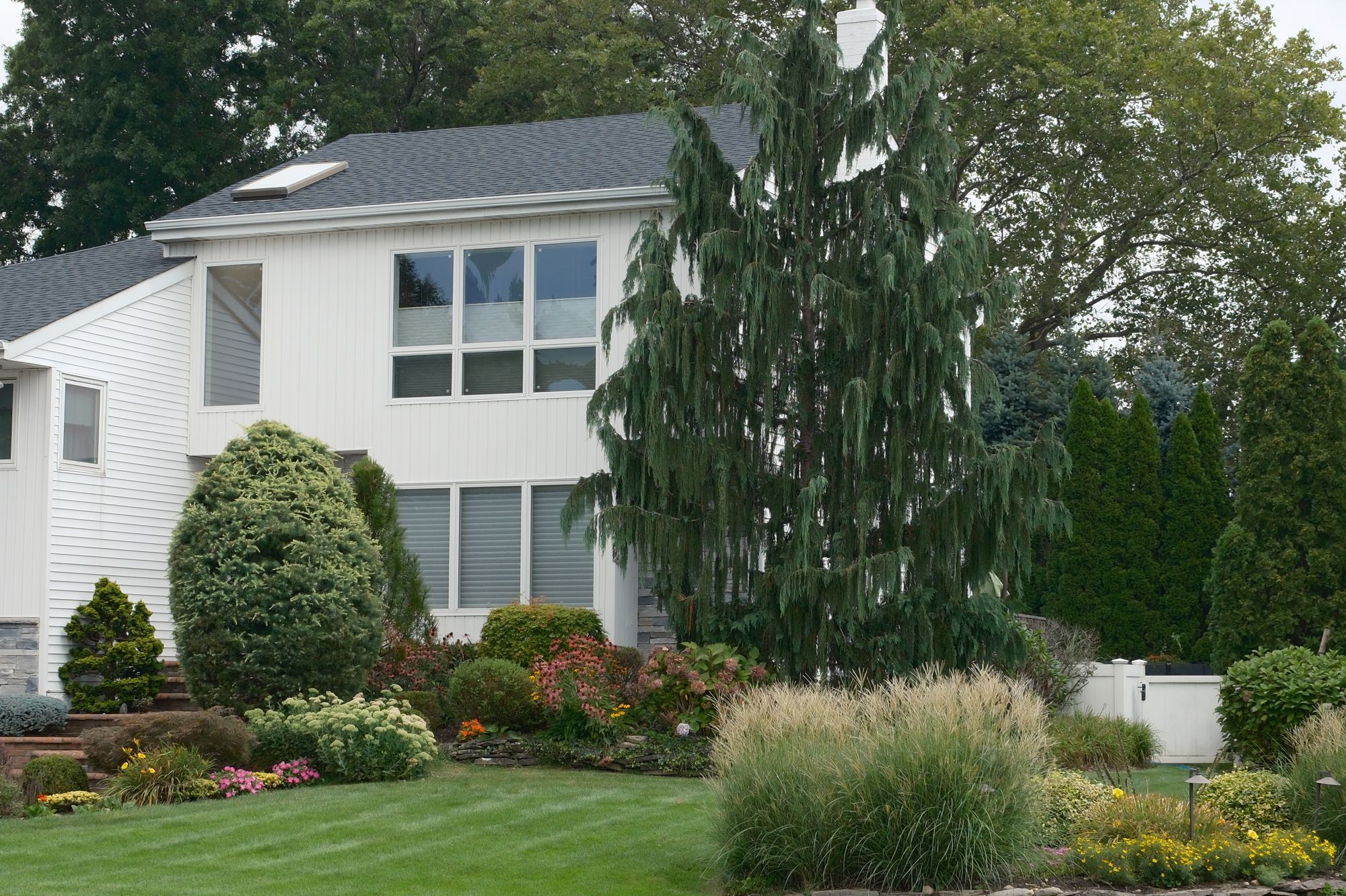 Your next move in Sacramento County deserves a clear plan. Work with Daniel Smallie to focus your home search, prepare your property for sale, or bring both transactions together around your goals.