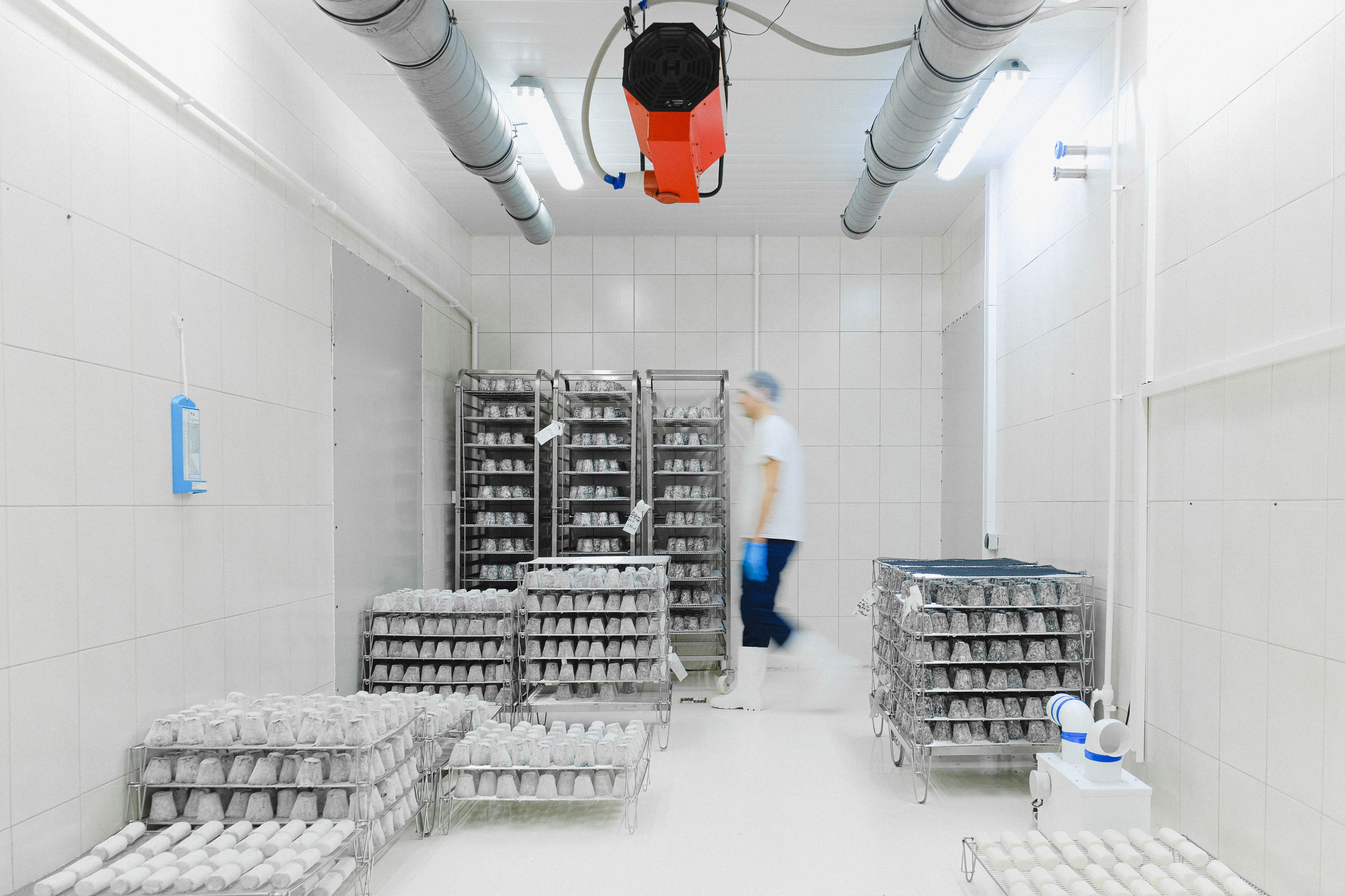 Walk-in cold room with insulated walls, overhead cooling equipment, and storage racks